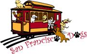 For the Dogs on the Road