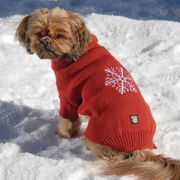 Frostys Snowflake Sweater for Dogs in Brick Red  Small
