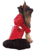 Lady Bug Red Raincoat