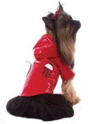 Lady Bug Red Raincoat