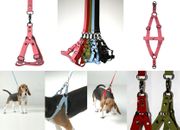Luxury Harness and Leash