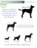 Paw Sweaters in Black with Grey Paw Paw Sweaters in Black with Grey Paw