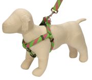 Pink & Lime Collegiate Stripe Ribbon Collection Harnesses