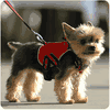 Sport Sac with Leash