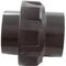Caretaker 5 Port Union 4-1-2003 WITH Cup Strainer For 2 inch Valve