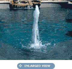 Pentair A&A Vinyl SplashDown 44" Fountain Complete - Water Jet - White 545254