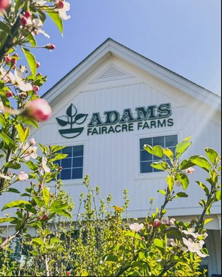 Adam's Fairacre Farms, Poughkeepsie, NY