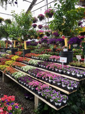 Ariemma's Garden Center, Staten Island, NY