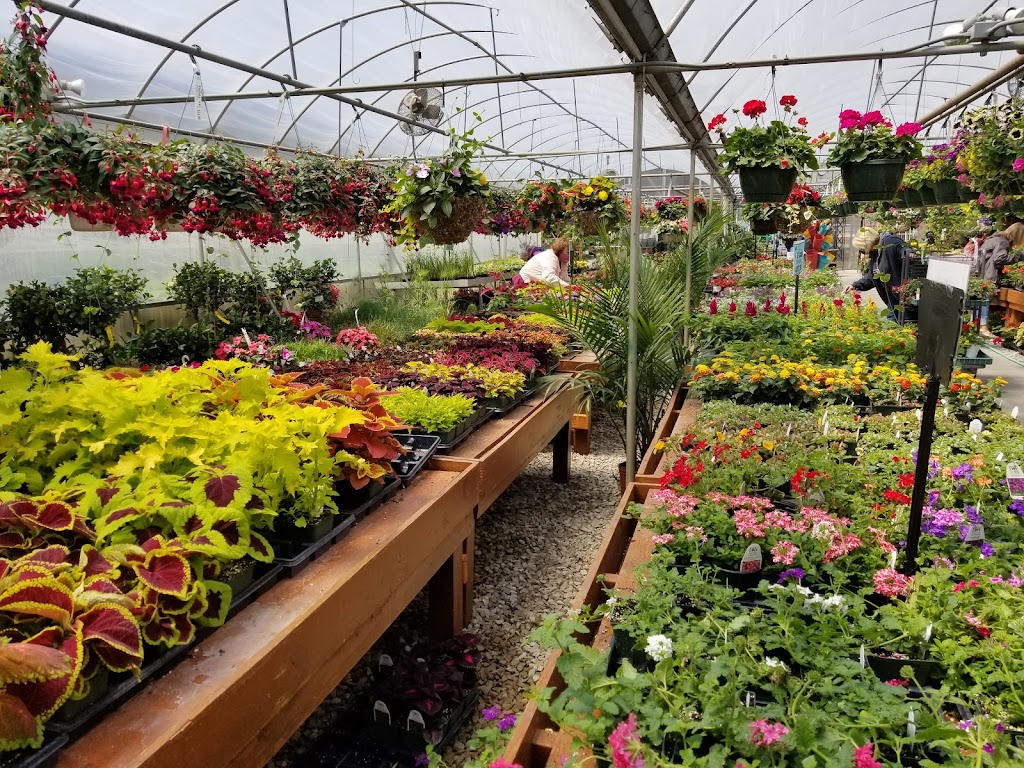 Boyert's Greenhouse & Farm, Medina, OH