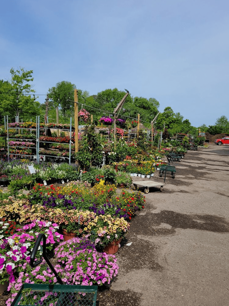 Carter's Country Corner, Chesapeake, VA