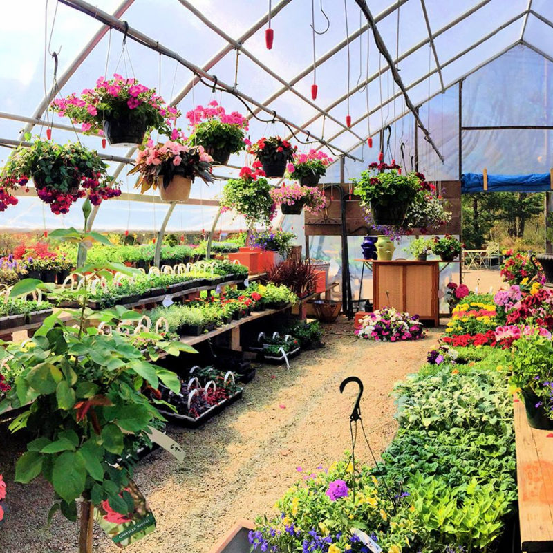 Echobrook Nursery, Worcester, MA