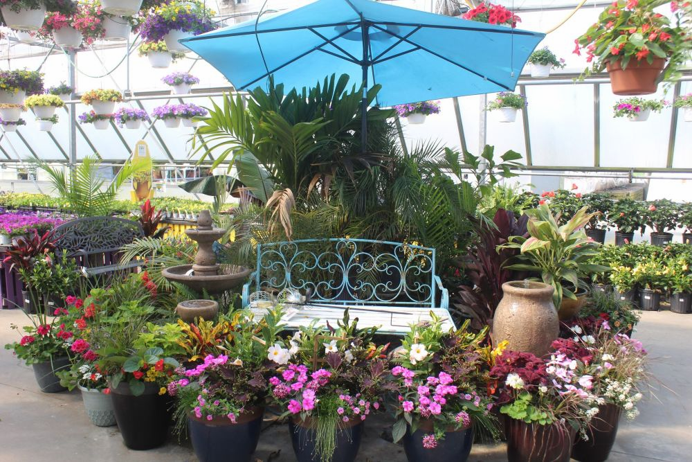 Farmstead Flowers, Ephrata, PA