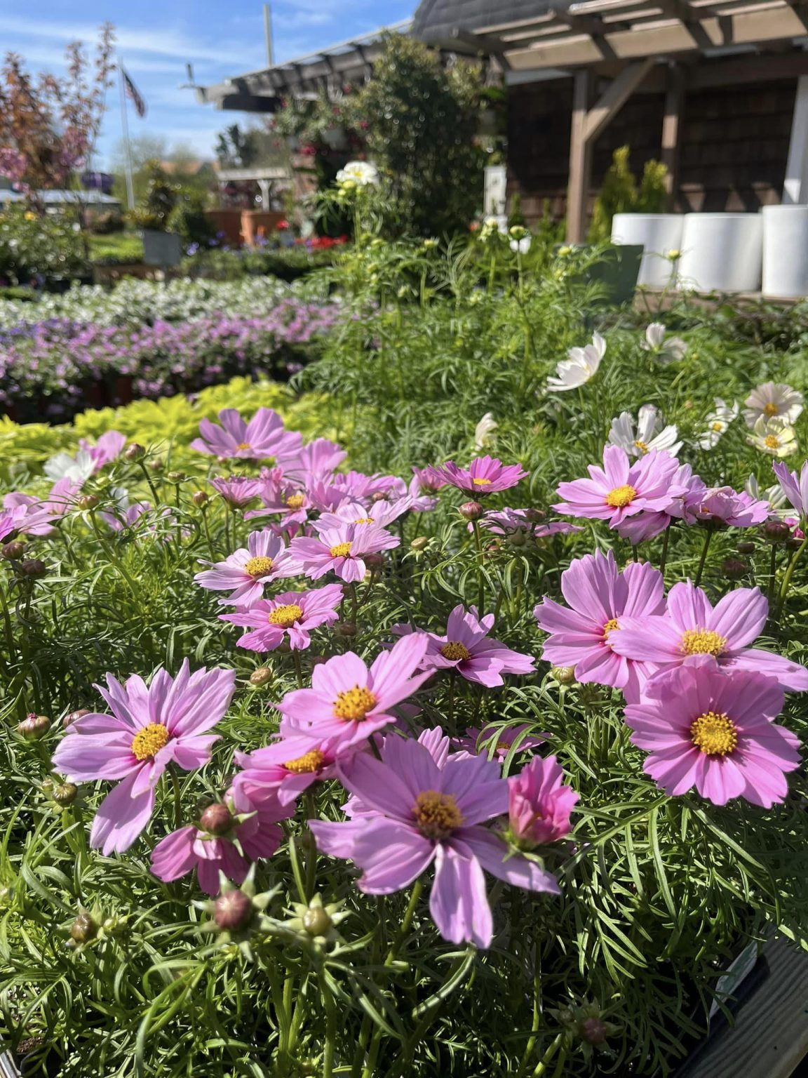 Fowler's Garden Center, Southampton, NY