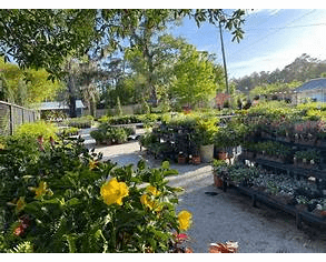 Hester & Zipperer, Savannah, GA