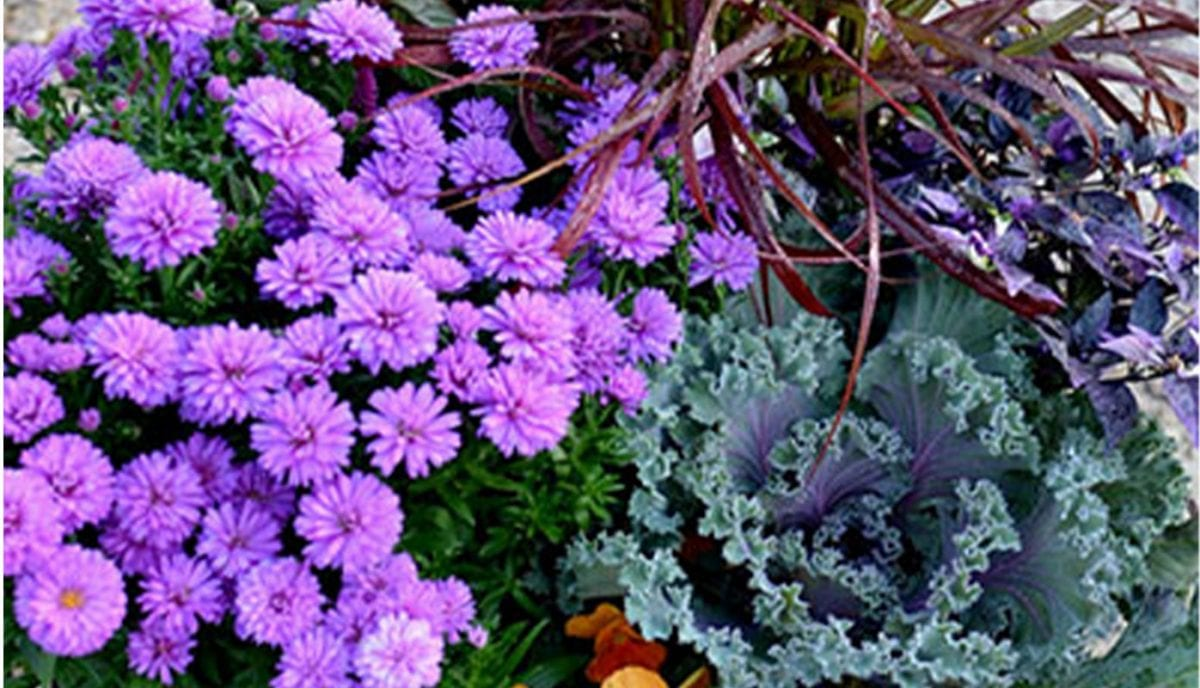 Heyden's Garden Center, Cedarburg, WI