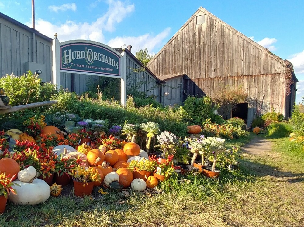Hurd Orchards, Holley, NY