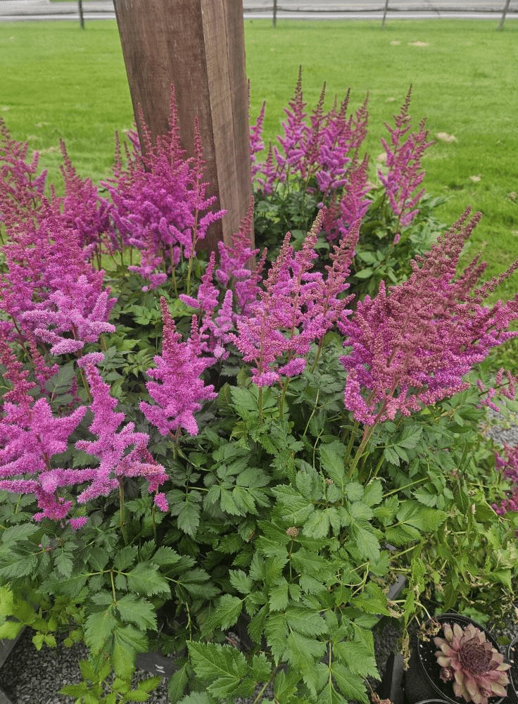 Jonal's Lawn & Garden, Greenfield, PA