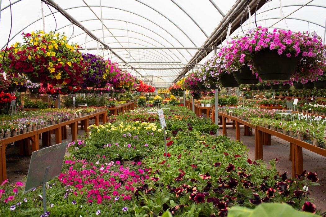 K&W Greenery, Janesville, WI