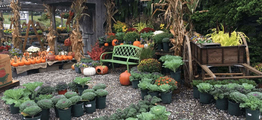 Kingsdene Nurseries, Monkton, MD