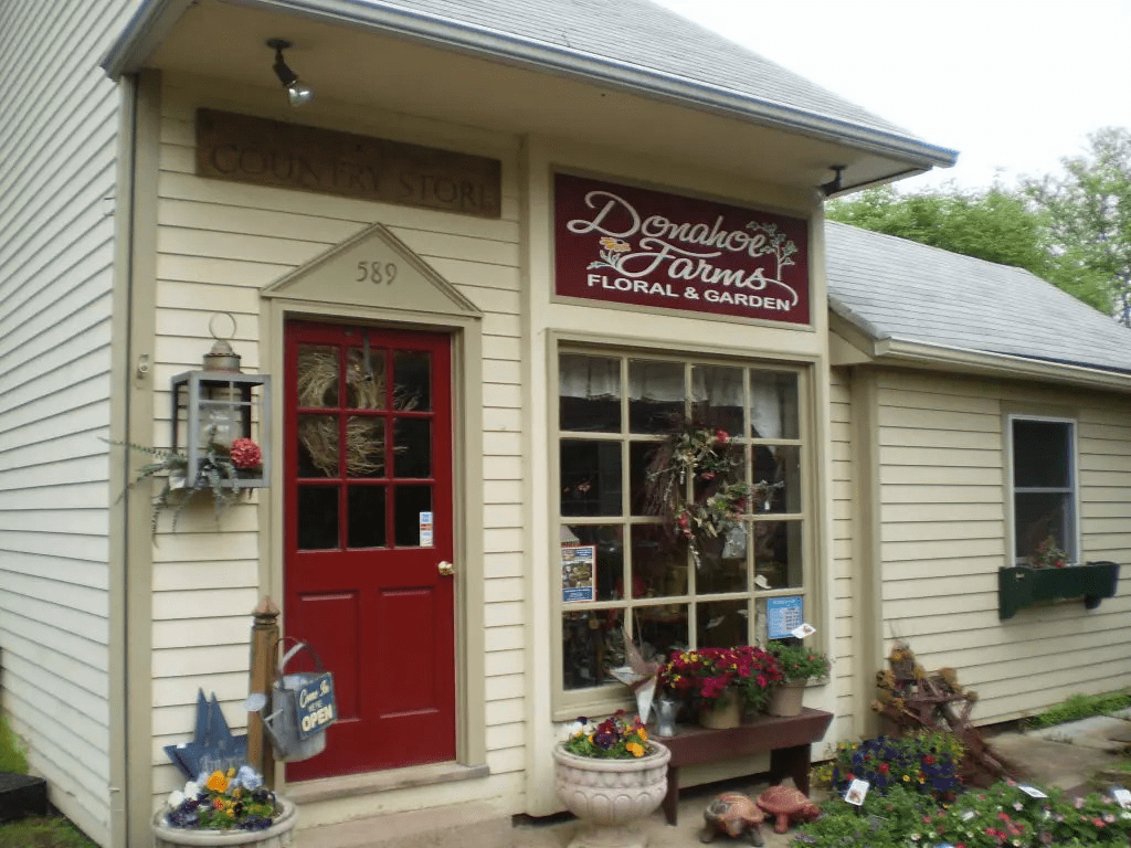Nazareth Floral Designs at Donahue Farms