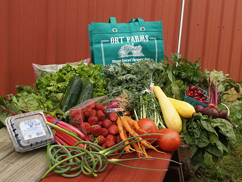 Ort Farms, Long Valley, NJ