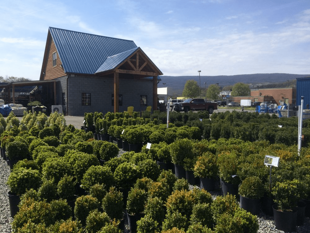 Pine Ridge Nursery, Salem, VA