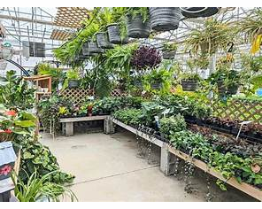 Posy Patch, Owen, WI