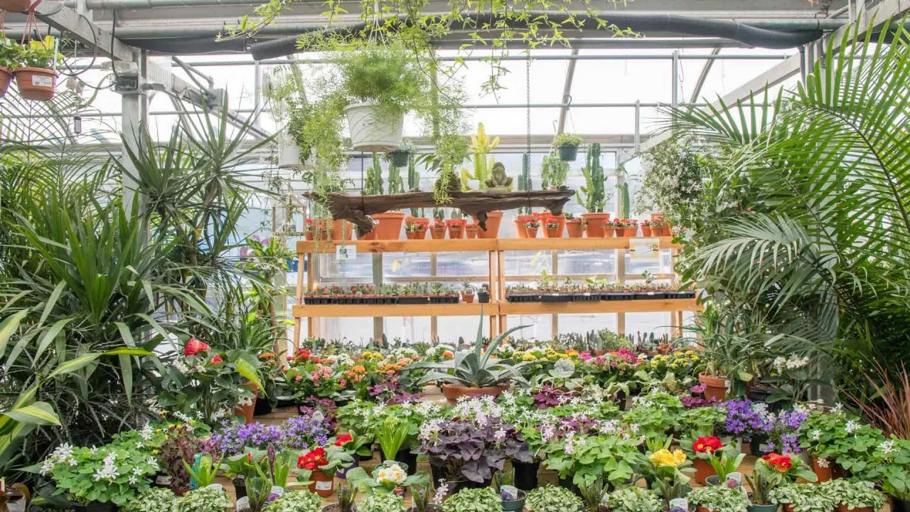 Primex Garden Center, Glenside, PA