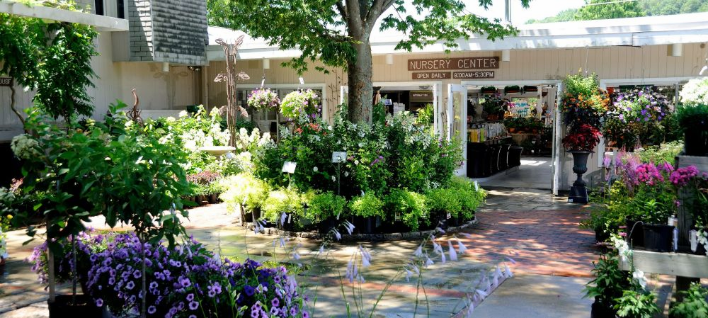 Rosedale Nurseries, Hawthorne, NY