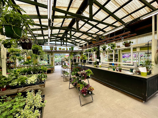 Sara's Farm Market, Brockport, NY