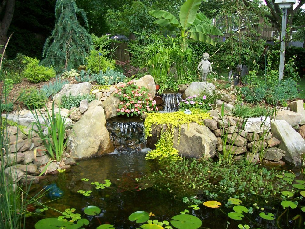 South Pleasantburg Nursery, Greenville, SC