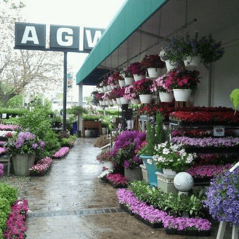 Southold Garden & Pet Center, Southold, NY