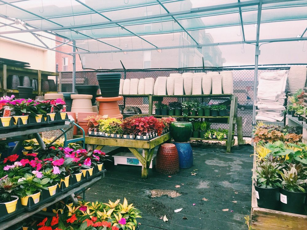 Strader's Garden Center, Columbus, OH