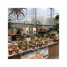 Sunny Garden Greenhouses, Wappingers Falls, NY