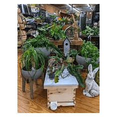 TBM Farm, Statesboro, GA