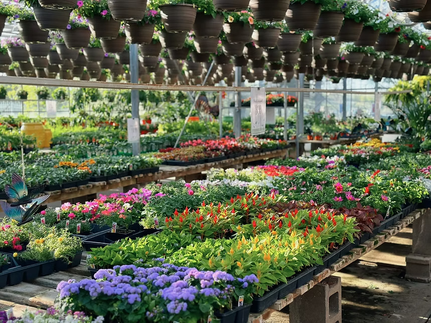 Terra Garden Center, Lakeville, MN