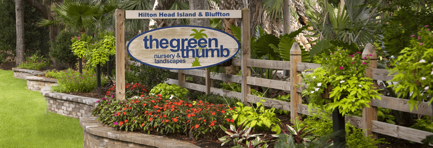 The Green Thumb, Hilton Head Island, SC