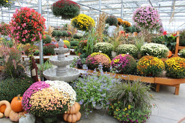 Town's Edge Garden Center, New Holland, PA