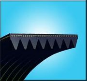Poly V-Belt