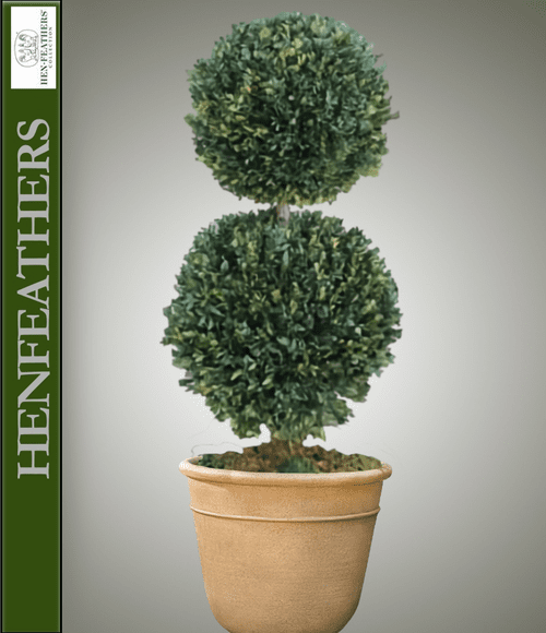 40" Real Boxwood Double Ball Preserved Topiary HenFeathers