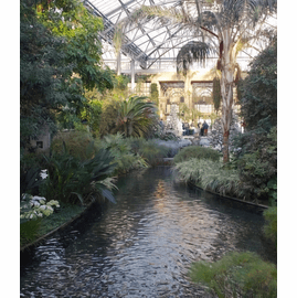 A Visit to Longwood Gardens Conservatory in Winter