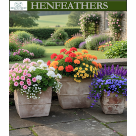 Antico Square Planter - Set of 3