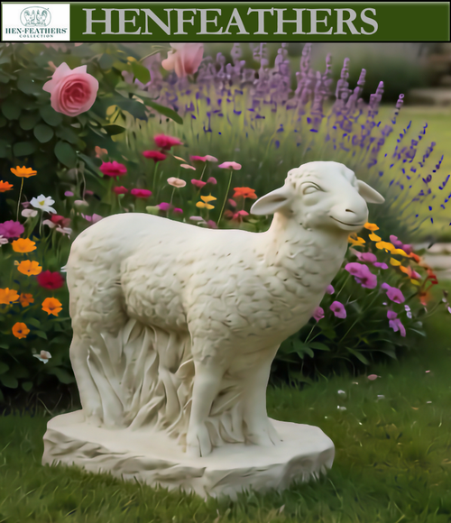 Cotswold Meadow Sheep {USA}n