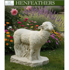 Cotswold Meadow Sheep {USA}n