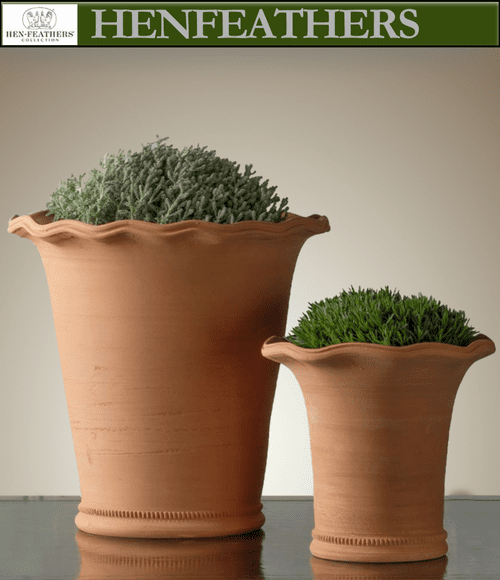 Domenico Planter