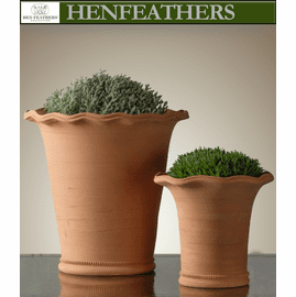 Domenico Planter