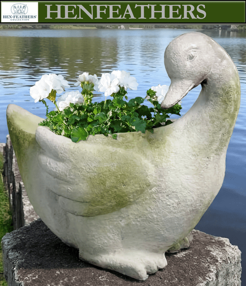 Ducky Planter