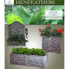 Fern