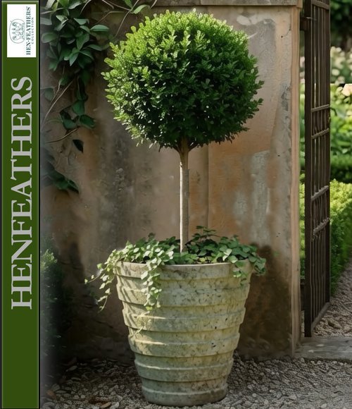 Firenze Banded Pot