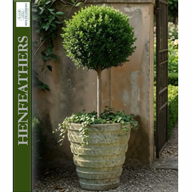 Firenze Banded Pot